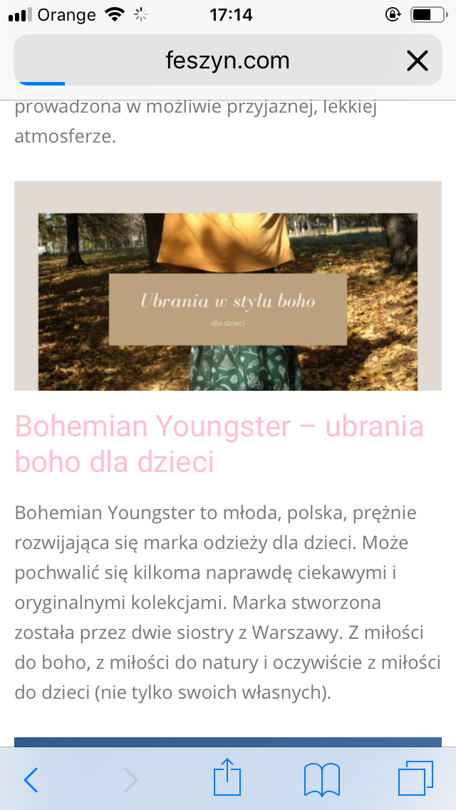 feszyn.com